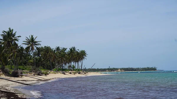 Τοπίο Μιας Παραλίας Της Καραϊβικής Στο Uvero Alto Punta Cana — Φωτογραφία Αρχείου
