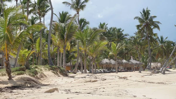 Paesaggio Una Bellissima Spiaggia Uvero Alto Punta Cana Repubblica Dominicana — Foto Stock