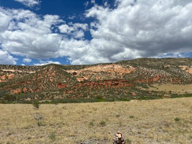 Wellington, Colorado, ABD 'deki doğa ve dağ manzarası