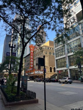 Chicago, ABD, 29 Haziran 2024: Amerika Birleşik Devletleri 'nde Chicago şehri manzaraları