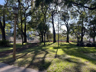 Şehir parkının güzel manzarası