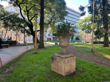 Şehirdeki güzel bir park manzarası.