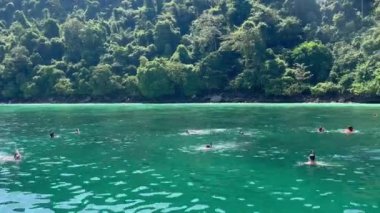 Güzel tropikal plaj. Seyahat kavramı