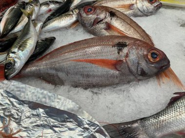 Bask Bölgesi 'ndeki Donostia San Sebastian' da geleneksel bir pazarda taze balık satılıyor.