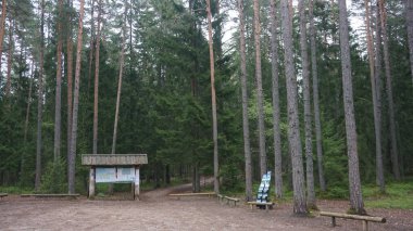 Lahemaa Ulusal Parkı, Tallinn, Estonya, 17 Mayıs 2023: Estonya, Avrupa 'daki Tallinn' den 70 km uzaklıktaki Lahemaa Ulusal Parkı 'nda doğa manzaraları