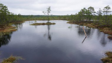 Estonya, Avrupa 'daki Tallinn' den 70 km uzaklıktaki Lahemaa Ulusal Parkı 'ndaki doğa manzaraları