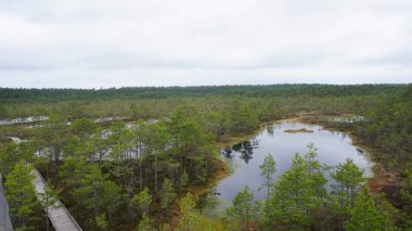 Estonya, Avrupa 'daki Tallinn' den 70 km uzaklıktaki Lahemaa Ulusal Parkı 'ndaki doğa manzaraları