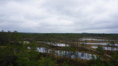 Estonya, Avrupa 'daki Tallinn' den 70 km uzaklıktaki Lahemaa Ulusal Parkı 'ndaki doğa manzaraları