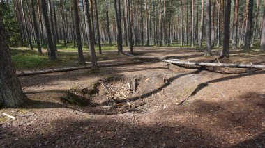 Estonya, Avrupa 'daki Tallinn' den 70 km uzaklıktaki Lahemaa Ulusal Parkı 'ndaki doğa manzaraları