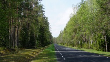 Estonya, Avrupa 'daki Tallinn' den 70 km uzaklıktaki Lahemaa Ulusal Parkı 'ndaki doğa manzaraları