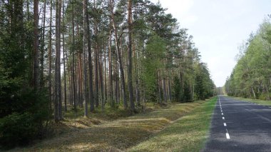 Estonya, Avrupa 'daki Tallinn' den 70 km uzaklıktaki Lahemaa Ulusal Parkı 'ndaki doğa manzaraları