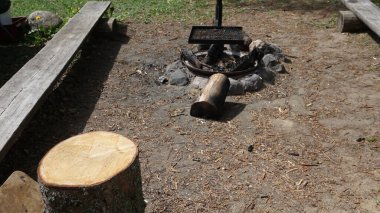 Estonya 'nın Lne-Viru ilçesi Haljala belediyesinde yer alan Ksmu ormanlarında fantastik piknik