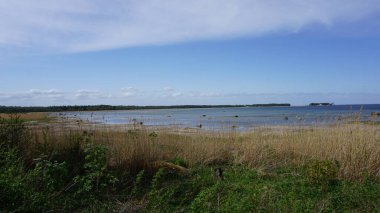 Deniz kıyısının güzel manzarası