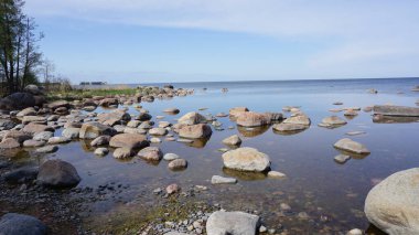 Baltık denizinin güzel manzarası