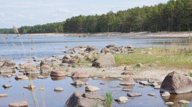 Baltık Denizi kıyısında güzel bir manzara.