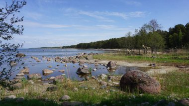 Kasmu, Estonya, 17 Mayıs 2023: Haljala Belediyesi, Lne-Viru İlçesi, Estonya