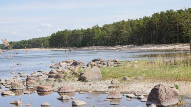 Ormanda güzel bir göl manzarası