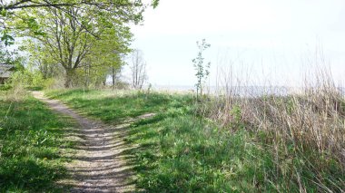 Doğanın güzel manzarası