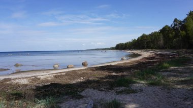 Baltık deniz kıyısı, yaz, kumlu sahil
