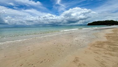 Palmiye ağaçları ve mavi gökyüzü olan güzel tropikal plaj