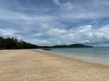 Tayland 'da tropik plaj ve palmiye ağaçları