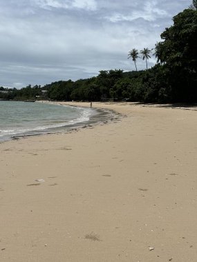 Büyük beyaz bir kum ve büyük bir ağacı olan güzel bir deniz manzarası.