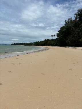 Palmiye ağaçları olan güzel tropikal plaj
