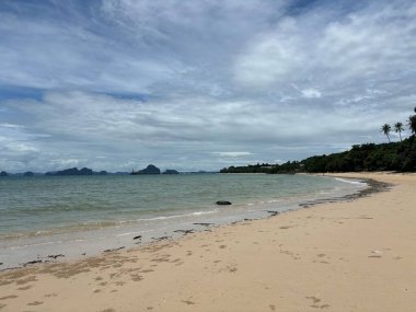 plaj ve tropikal deniz