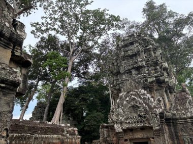 Kamboçya 'daki Angkor Wat antik şehrinin tapınağı