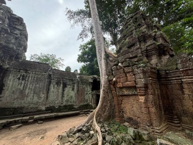 Kamboçya 'daki Angkor Wat Tapınağı