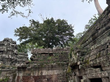 Angkor şehrinin güzel manzarası ne, Kamboçya