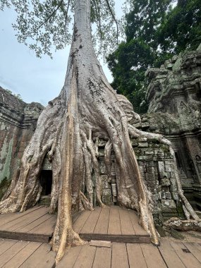 Wat phra kaew tapınağı thailand