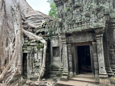 Ta prohm, Angkor Wat 'ın kalıntıları