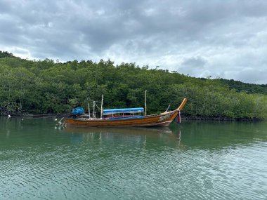 Göllü güzel bir manzara.