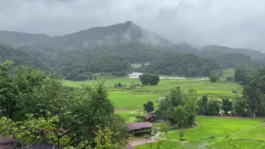 Tayland, Hindiçin ve Asya 'da Chiang Mai' nin kuzeyindeki Doi Inthanon 'daki teraslı pirinç tarlalarında yağmurlu bir gün.
