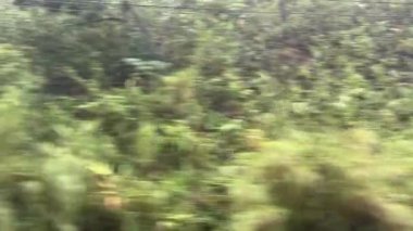 Kuzey Tayland, Asya 'daki Doi Inthanon Ulusal Parkı' ndaki bir araçtan orman manzarası