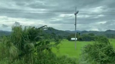 Tayland, Chiang Mai 'nin kuzeyindeki Doi Inthanon Ulusal Parkı' ndaki ağaçların arasından pirinç tarlaları ve ekinler görülüyor.