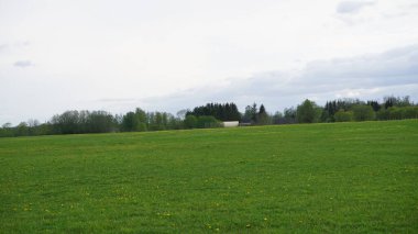 kırsal kesimde yeşil çayır