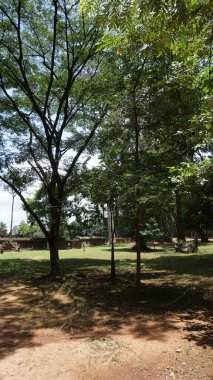 Parkın güzel manzarası