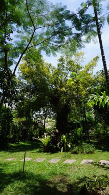 Parkın güzel manzarası