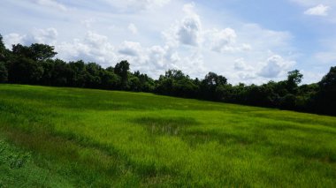 Mavi gökyüzü ile yeşil alan