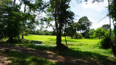 Parktaki manzara çok güzel.