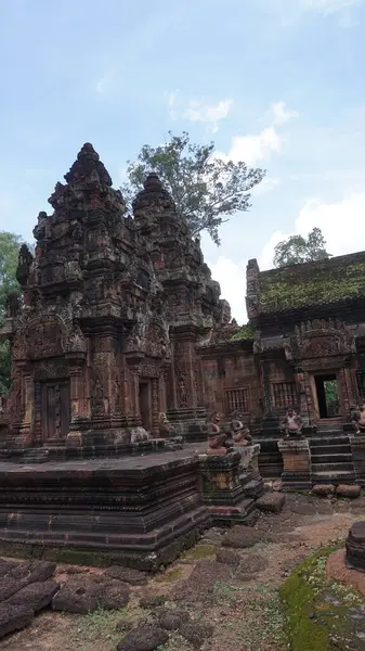 Kamboçya 'daki Angkor tapınağı.