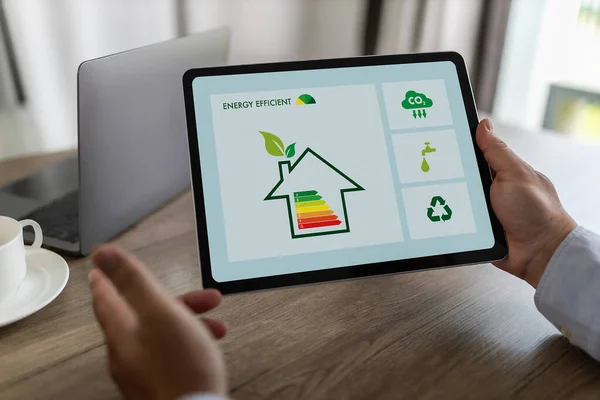 Energy Efficiency Mobile App Screen Man Saving Energy Diagram Cost — Stock Photo, Image