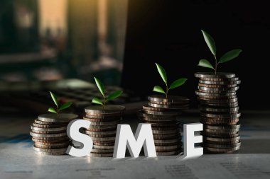 Büyüyen Tasarruf Şirketi KOBİ veya Bilgisayar Hesaplayan Küçük ve orta büyüklükteki işletmeler