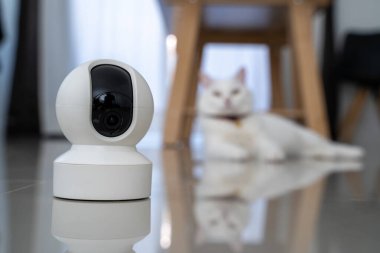 Ev güvenlik kamerası Akıllı CCTV kameraları güvenlik için sevgili kedinizi tespit etti.