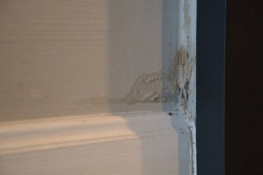 Sel kapısında çatlaklar olduktan ve duvara yaslandıktan sonra koridorun köşesinde küf büyüdü. Kapı ahşaptan yapılmış ve tepesinde metal bir menteşe var.