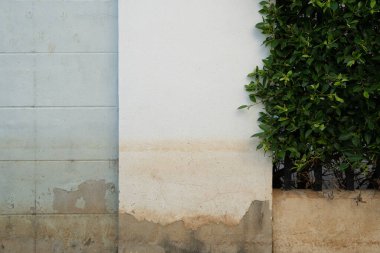 Tufandan sonra duvarda beyaz boyalı bir duvar vardı..