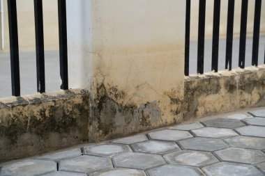 Tufandan sonra duvarda beyaz boyalı bir duvar vardı..