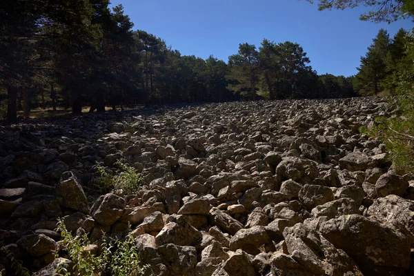 Kamenné Řeky Jedná Geografické Nehody Způsobené Hromaděním Kamenných Bloků Skal — Stock fotografie
